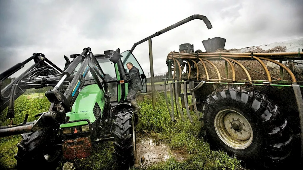 Svar: Foderodling ger ett växtbaserat alternativ till komjölk