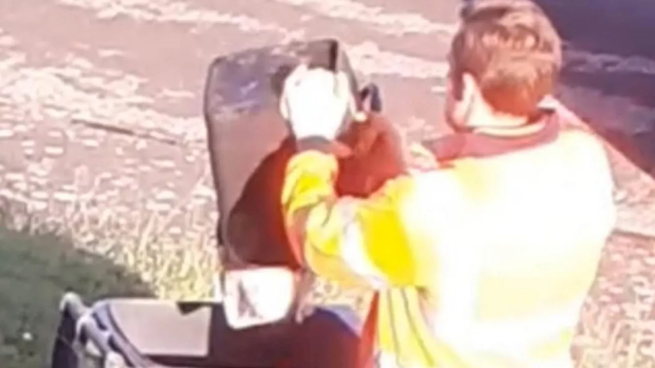 News: Fury after binman is caught on camera mixing up food waste ...