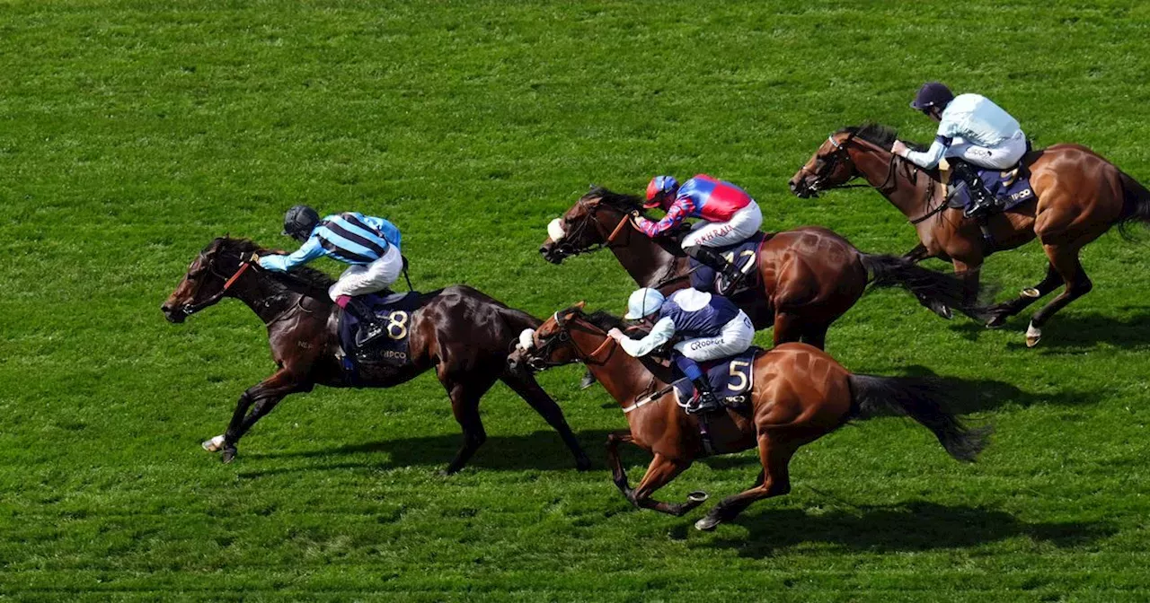 Horse Racing Royal Ascot 2024 Asfoora wins the King Charles III Stakes Royal Ascot Head Topics