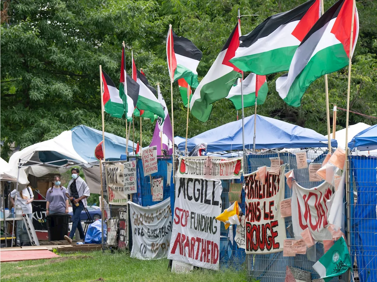 McGill University ends negotiations with pro-Palestinian encampment, will pursue disciplinary action