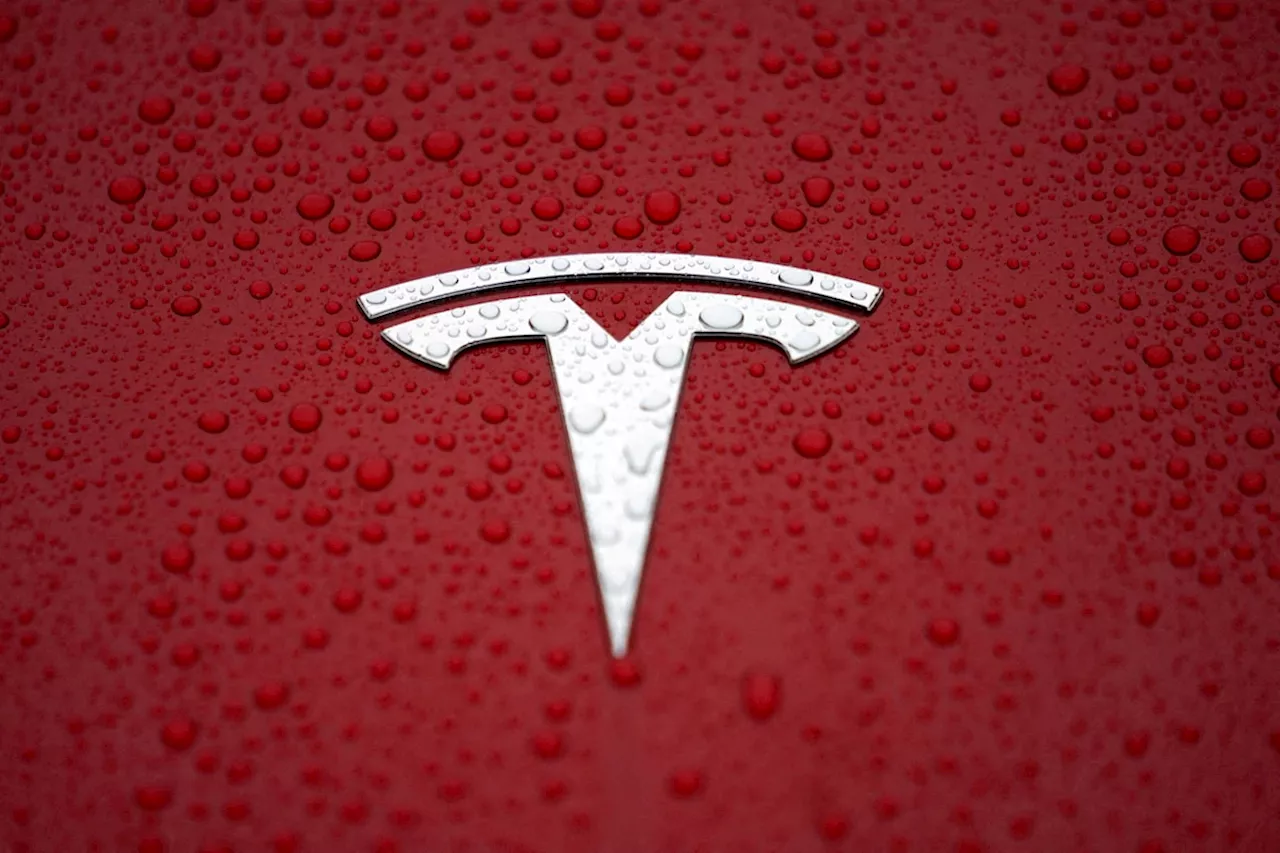 Tesla must face owners’ lawsuit claiming it monopolizes vehicle repairs and parts