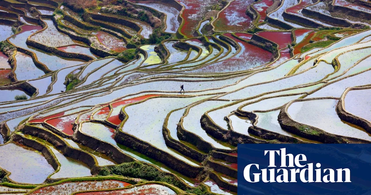 ‘A distressing reality’: our beautiful planet under threat