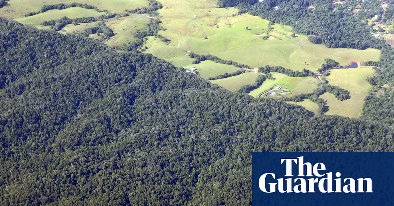 Australian cattle industry says clearing bushland grown after 1990 should not count as deforestation