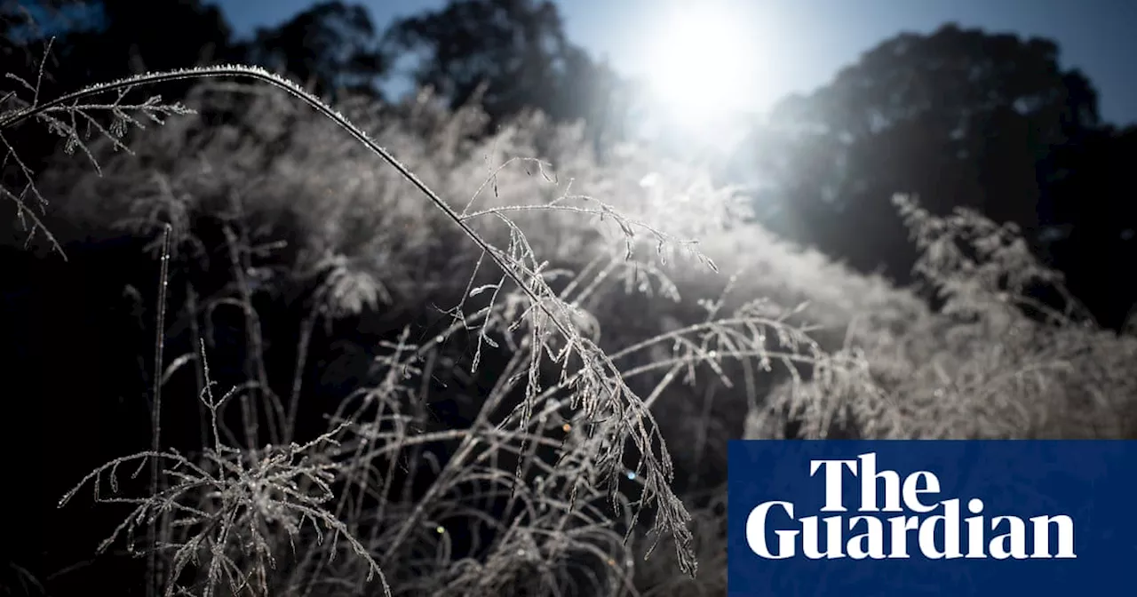 Melbourne and Sydney wake to coldest morning this year after Queensland weather record