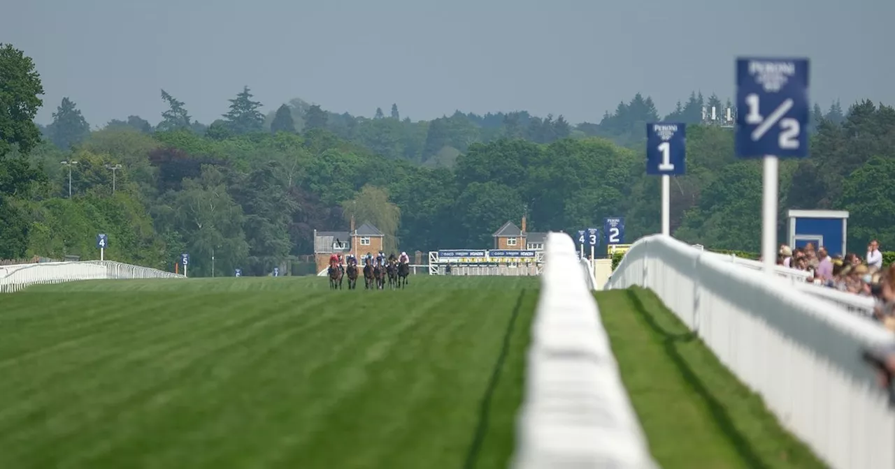 Royal Ascot 2024 day 1 full race card and tips - list of runners on Tuesday