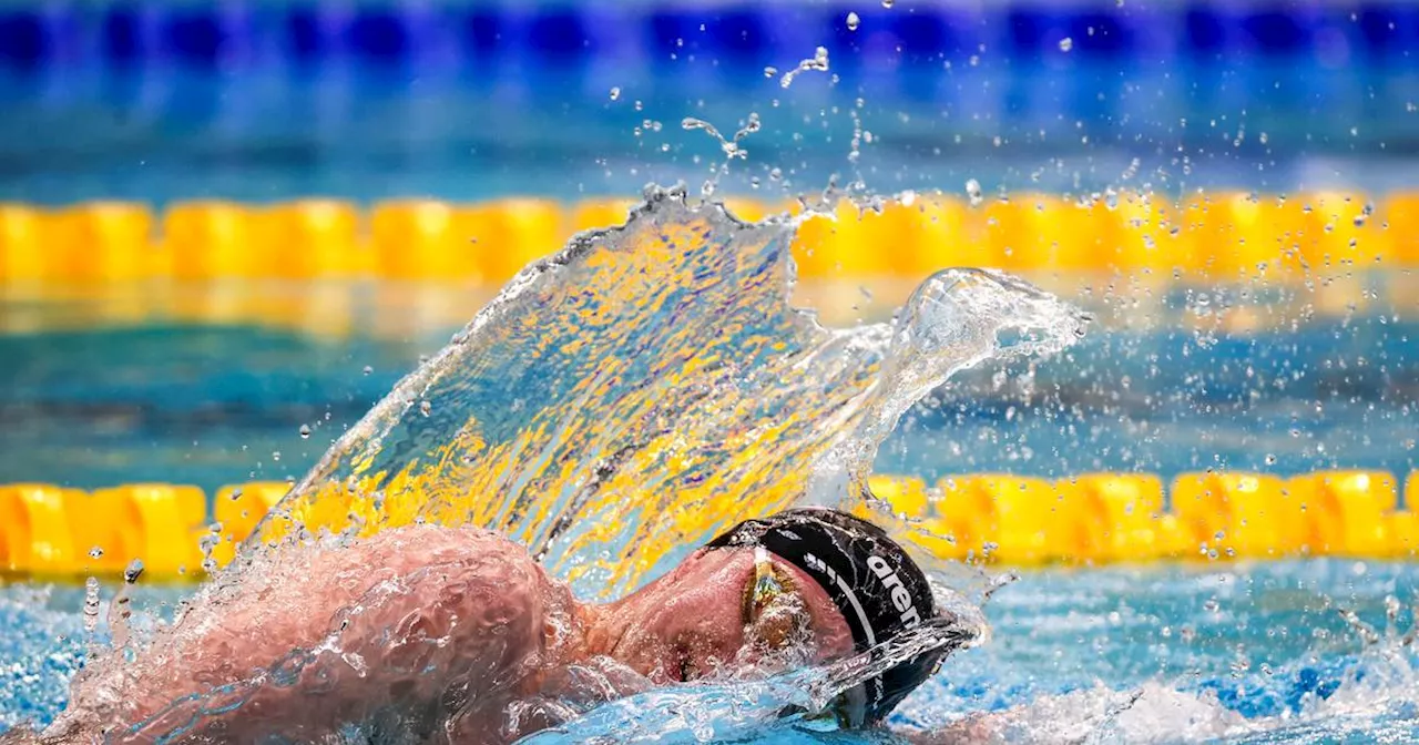 Nathan Wiffen qualifies for 800m freestyle final at European Championships in Serbia