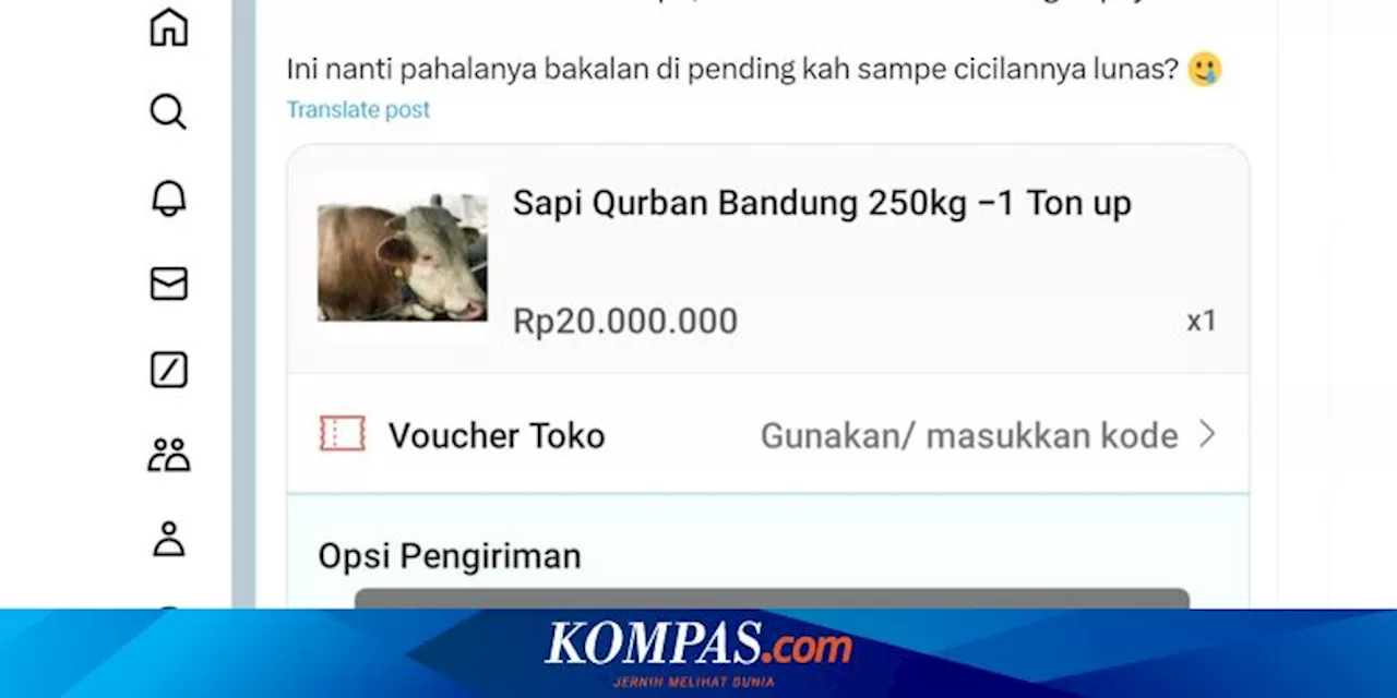 Bagaimana Hukumnya Berkurban Pakai Paylater? Ini Jawaban MUI