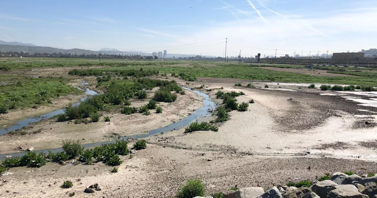 Mosquito larvicide drop planned later this month in Tijuana River Valley