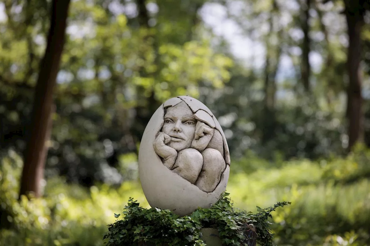 Arnaud Kasper, «l'homme-poisson» qui sculpte la forêt