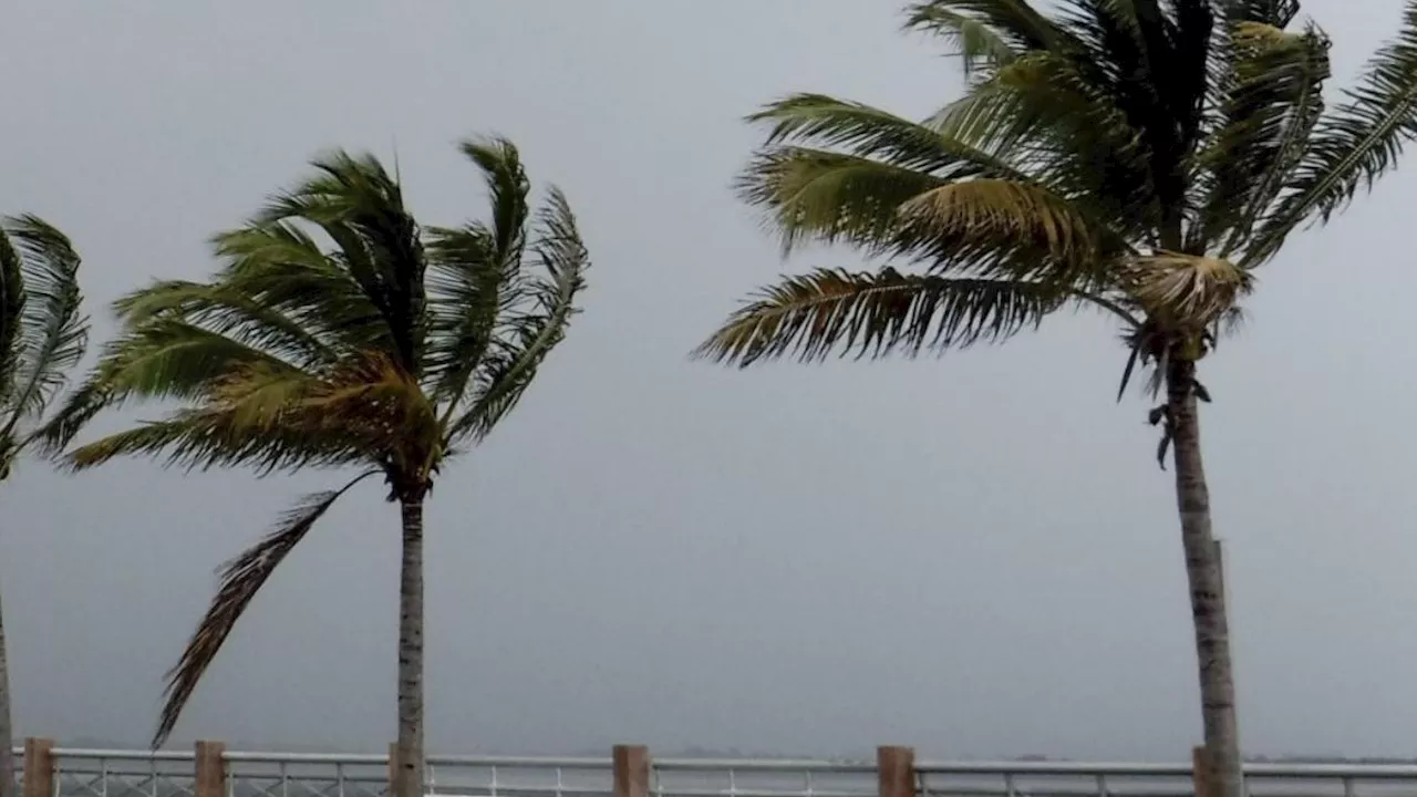 Ciclón Tropical Uno: Esta es la trayectoria que seguirá la tormenta Alberto en México