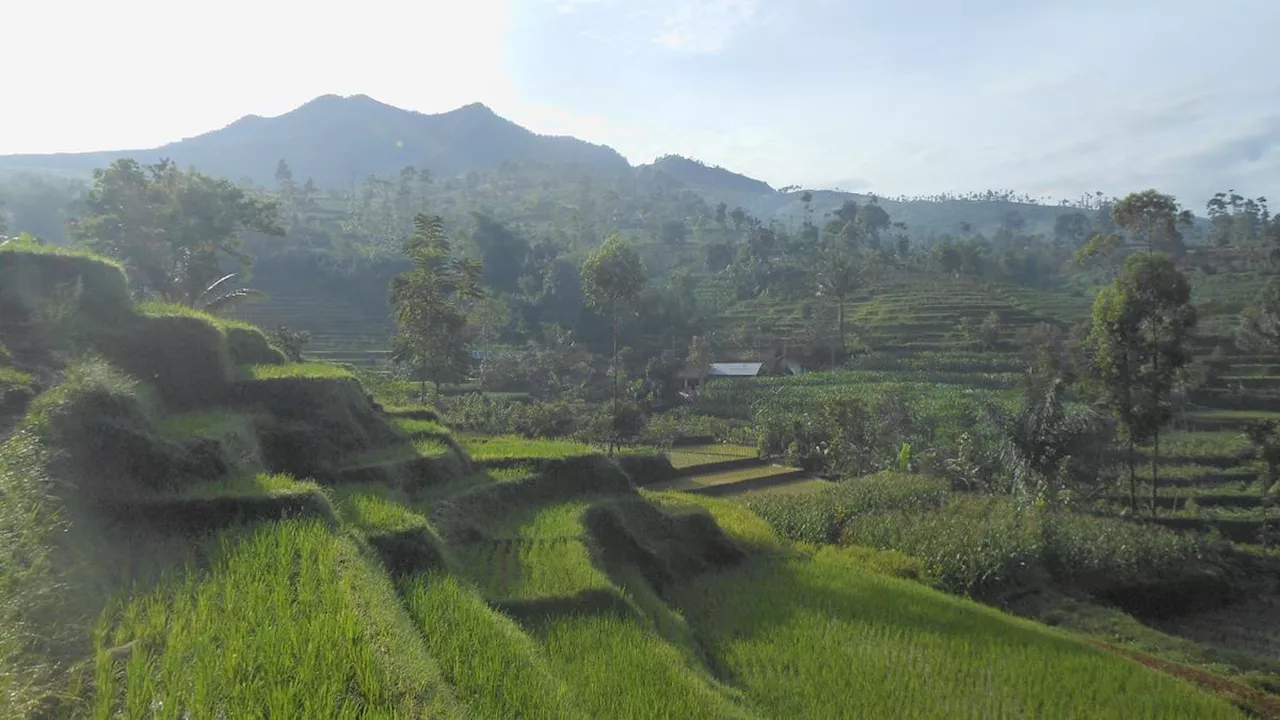 6 Fakta Menarik Gunung Rakutak, Bagian Cagar Alam Kamojang di Bandung