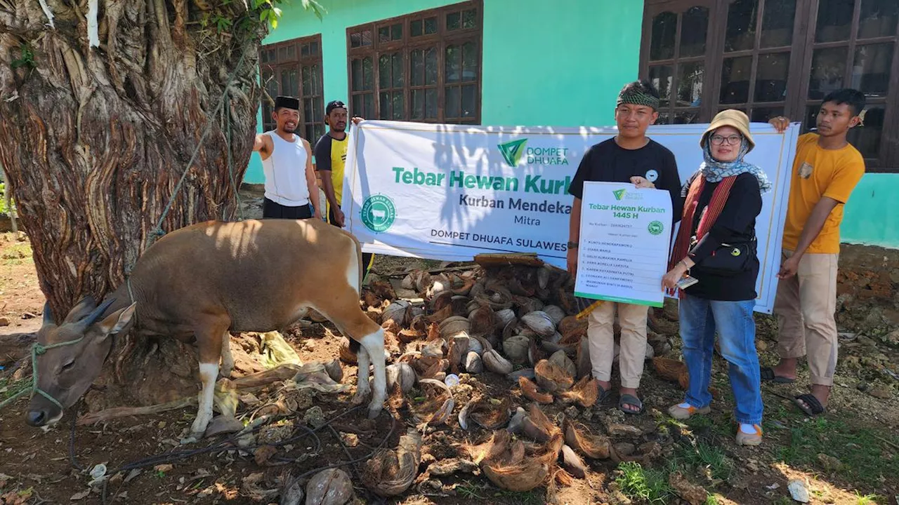 Melihat Semarak Pemotongan Hewan Kurban Dompet Dhuafa Bersama Masyarakat Muna Barat