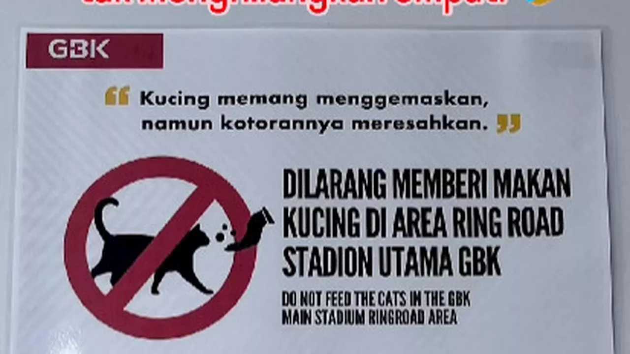 Muncul Tanda Dilarang Memberikan Makan Kucing Liar, Pengelola GBK Dianggap Tak Punya Empati