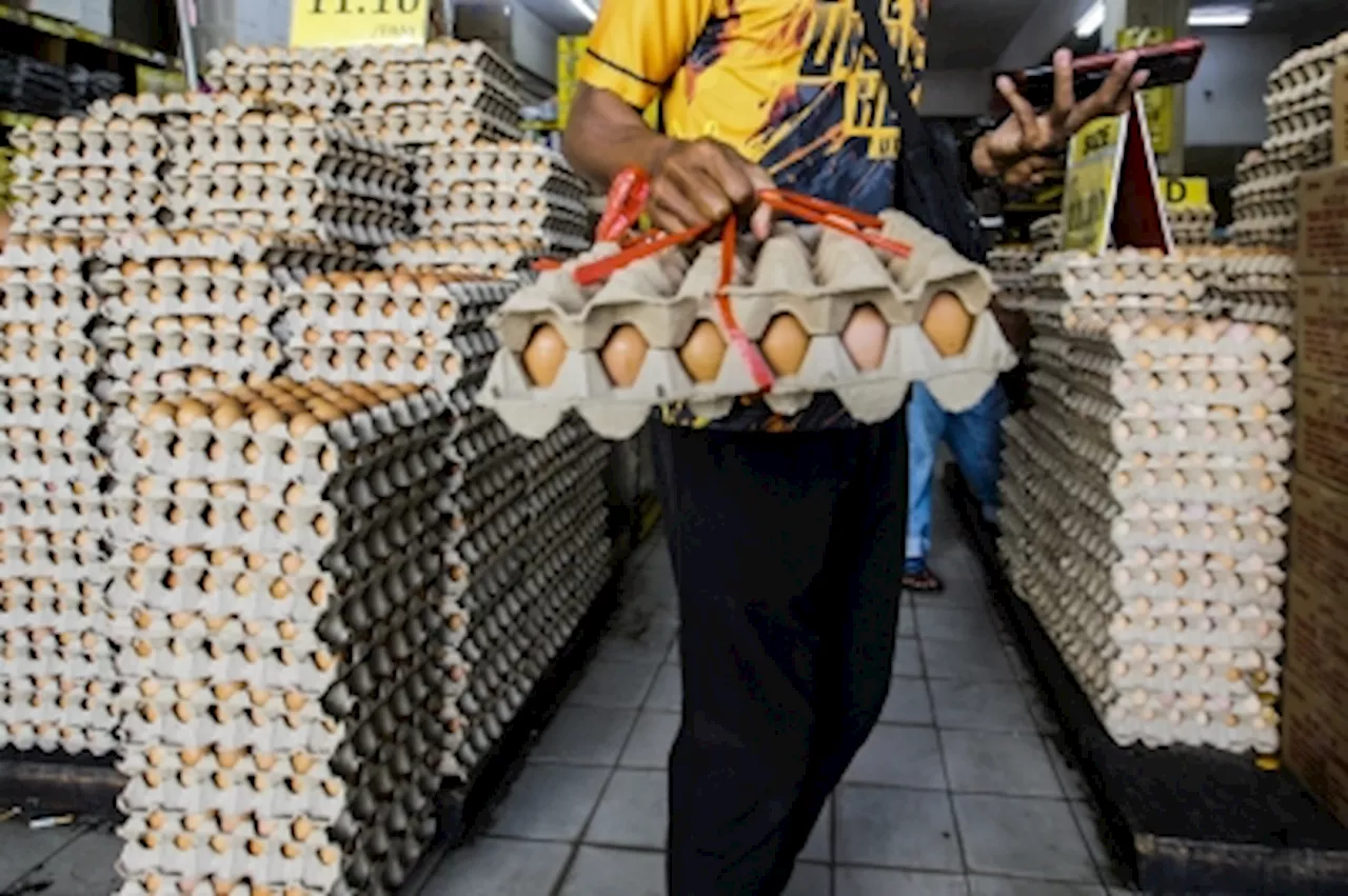 Consumers welcome egg price cut but want broader reductions in essential food items