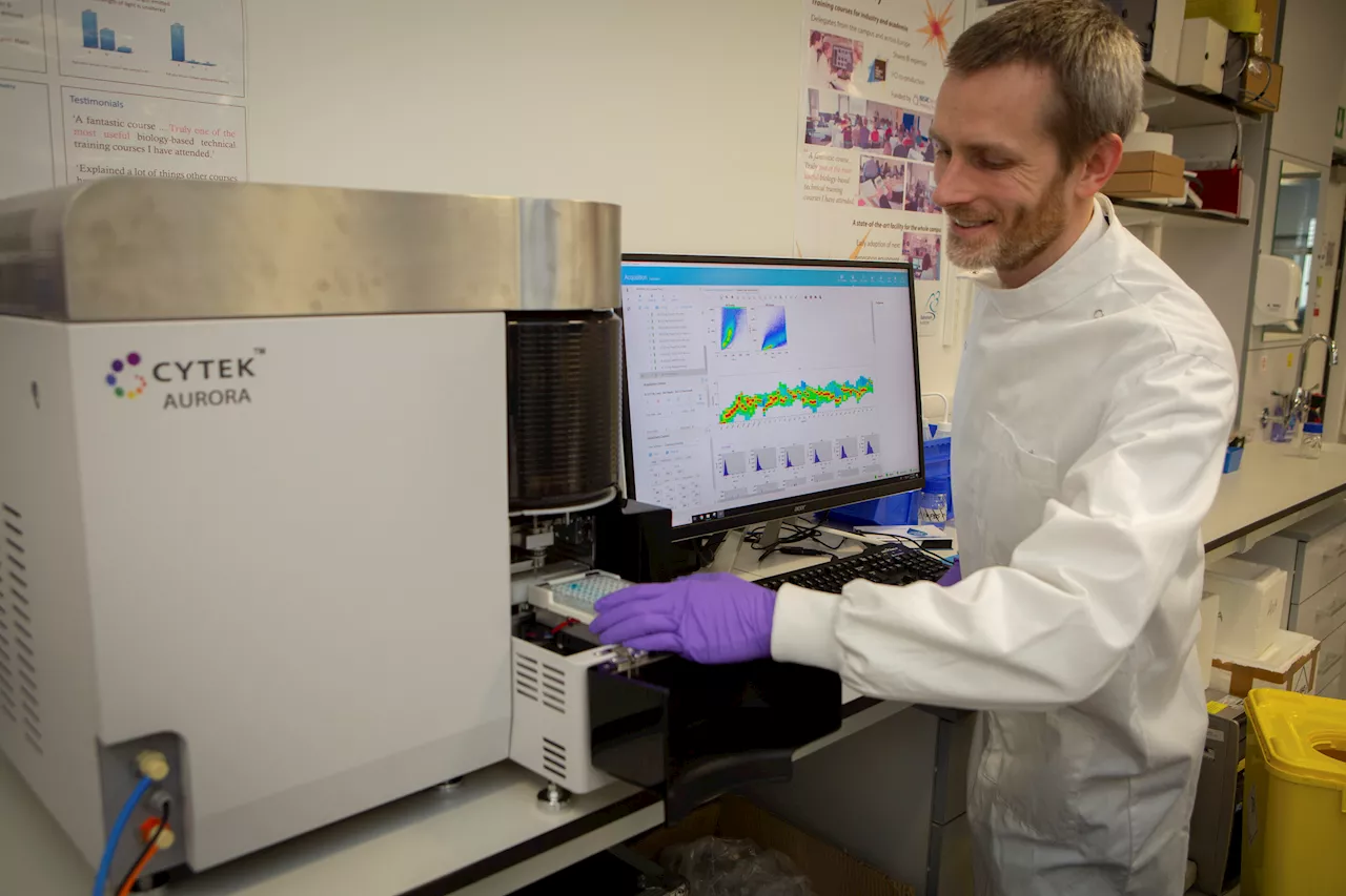 Discovery of 'new rules of the immune system' could improve treatment of inflammatory diseases, say scientists