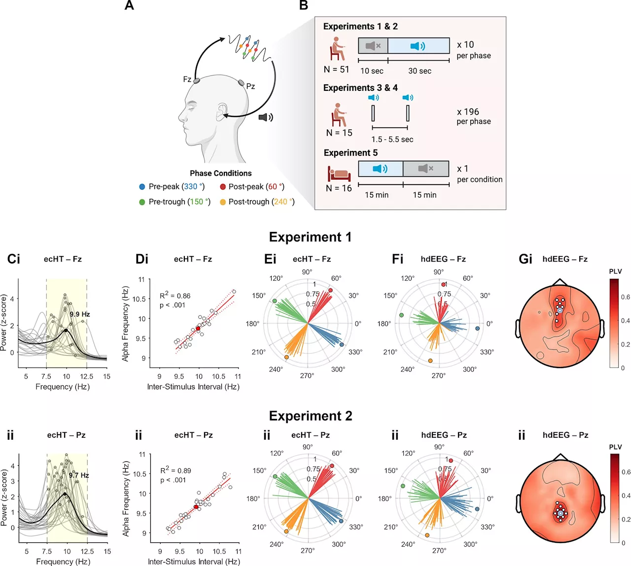 New technique uses sound to influence brain waves and sleep in dementia