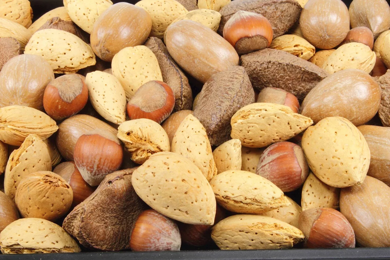 Nuts could be the next best thing when it comes to weight loss, research suggests