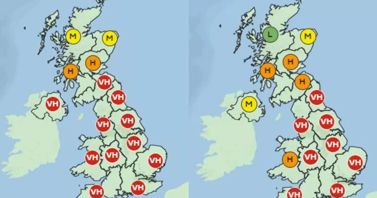 Hay fever warning in North West amid high pollen count this week