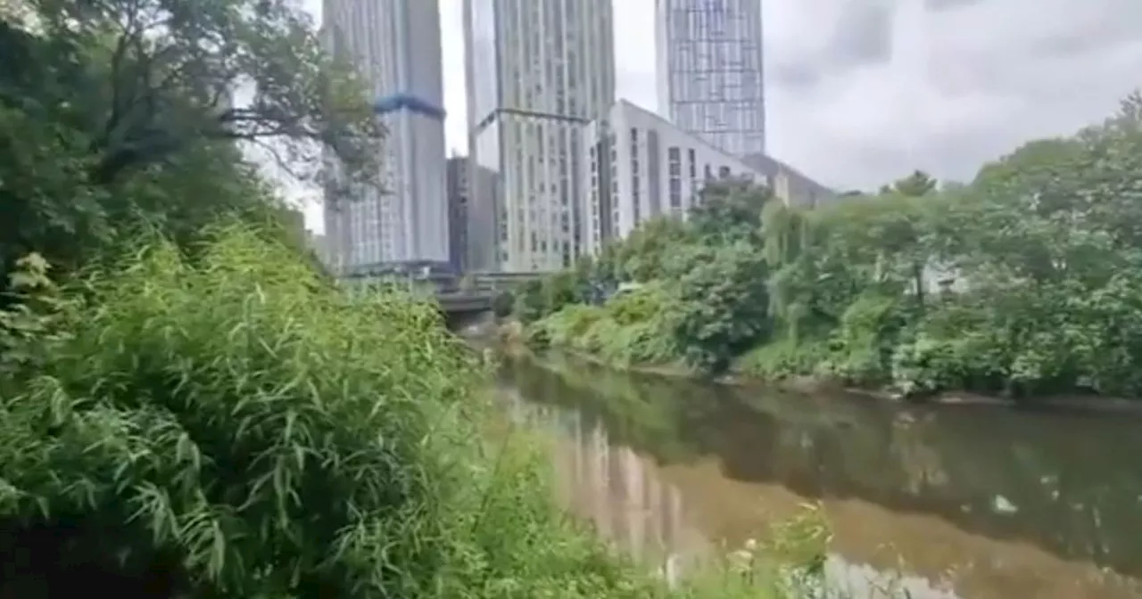 Pipe releasing sewage into Irwell as anglers fished 'operated as designed'