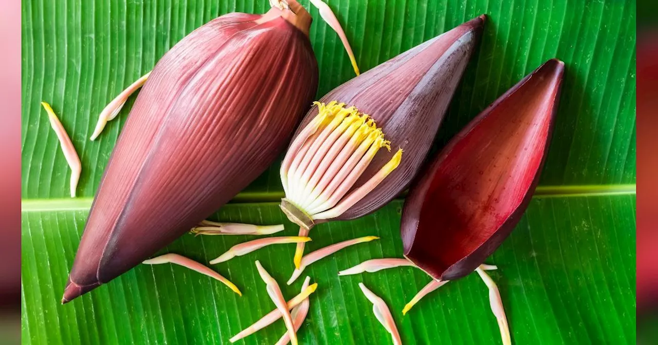 Cara Mudah Rebus Jantung Pisang agar Tidak Pahit dan Awet Putih, Cukup Pakai 1 Bahan Dapur