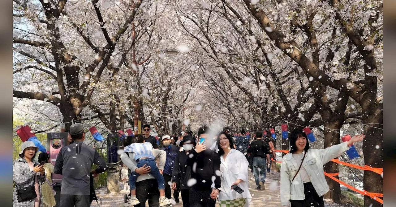 Indonesia Urutan Kedua Wisatawan Paling Banyak Berkunjung ke Korea