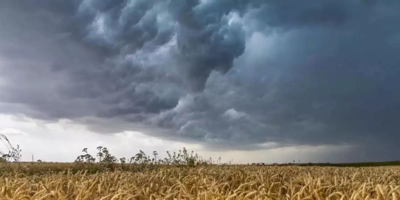 Wetter: Heute und morgen gibts Sommer - dann wieder Gewitter