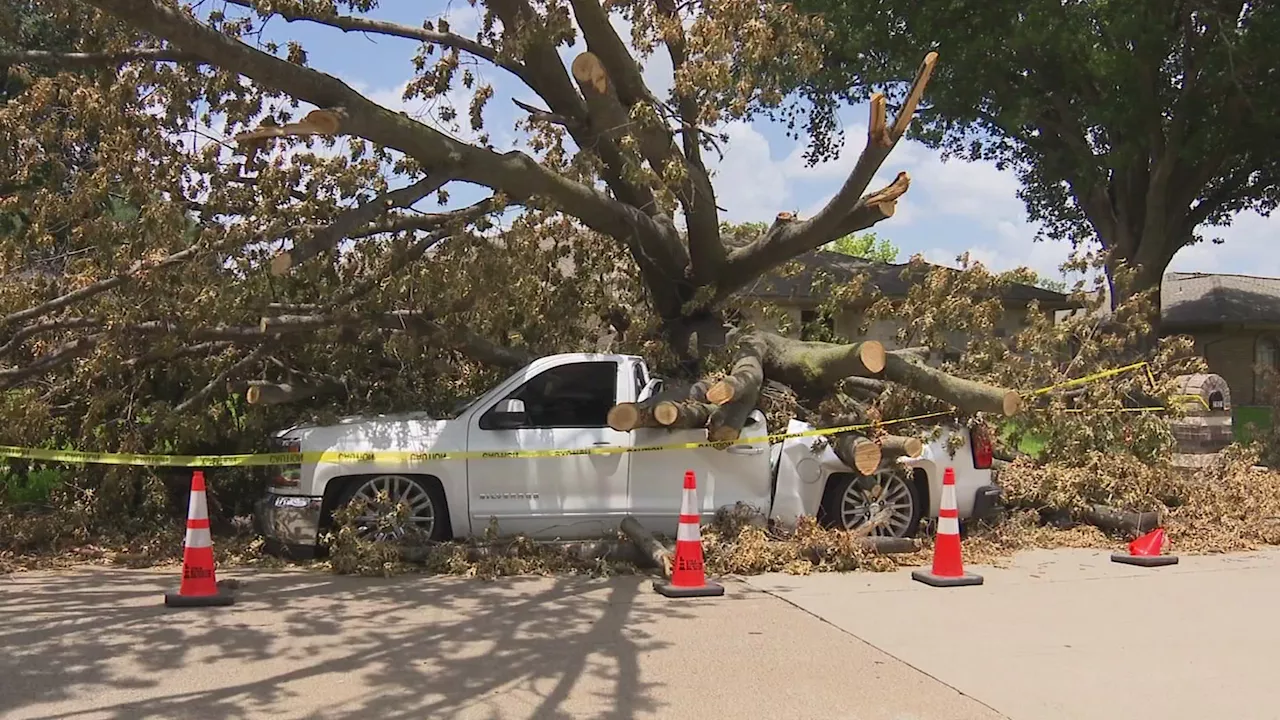 ‘Unprecedented' storm cleanup continues in Plano; city launches website tracking progress