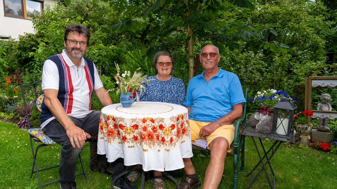 Stadtgemeinde Horn sucht die schönsten Hausgärten