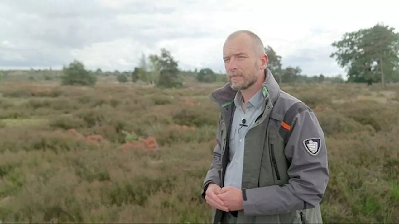 Door toenemende oorlogsdreiging zoekt Defensie naar nieuwe luchtmachtbasis in Overijssel