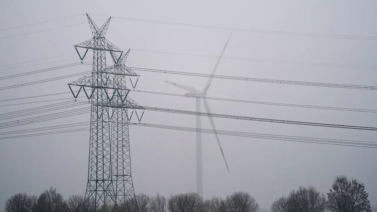 Hamburg & Schleswig-Holstein: Schleswig-Holstein bringt Klimaschutzgesetz auf neuen Stand