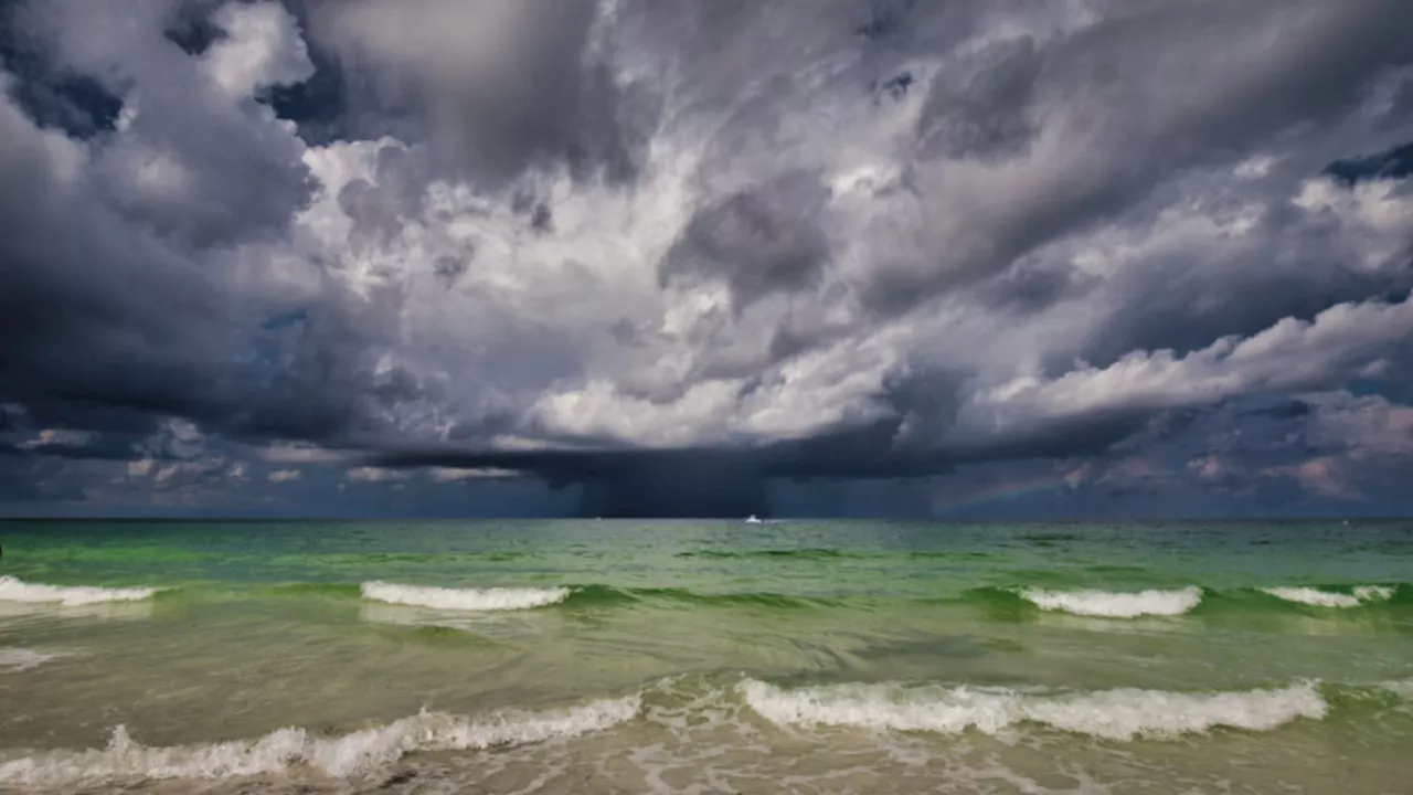 Se intensifica tormenta tropical 'Alberto'': ¿Cuándo y en dónde impactará con fuertes lluvias?