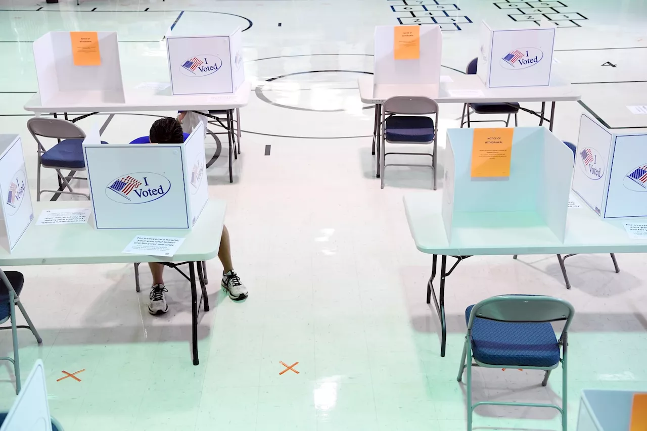 A guide to the 2024 Alexandria Democratic primary election