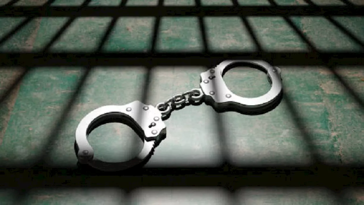 Police arrest two illegal mining suspects in Limpopo - SABC News - Breaking news, special reports, world,