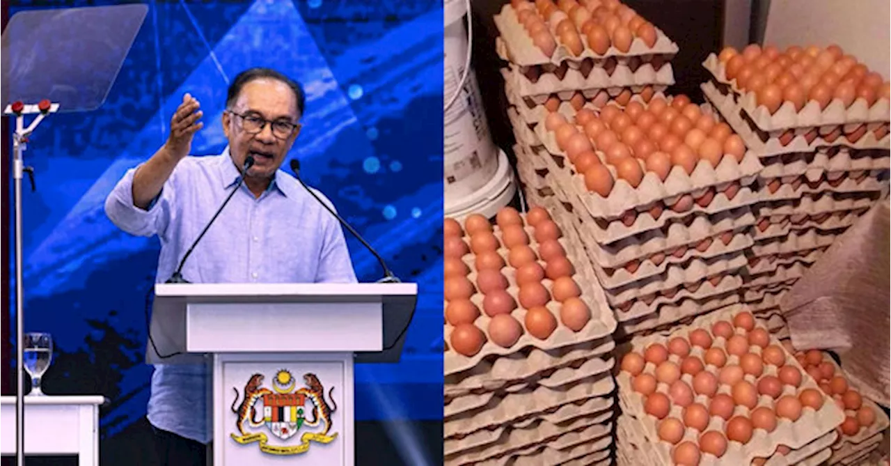 PM Anwar: Prices For Grade A, B, And C Eggs Reduced By 3 Sen