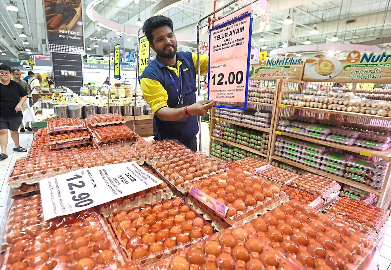 Tackle egg prices as a supply issue, govt urged