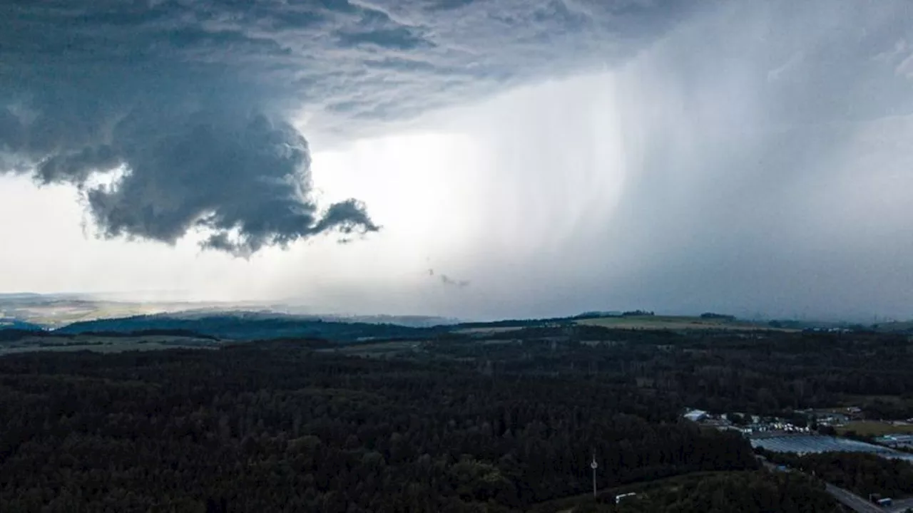 Unwetter: Schäden durch Hagel und umgestürzte Bäume