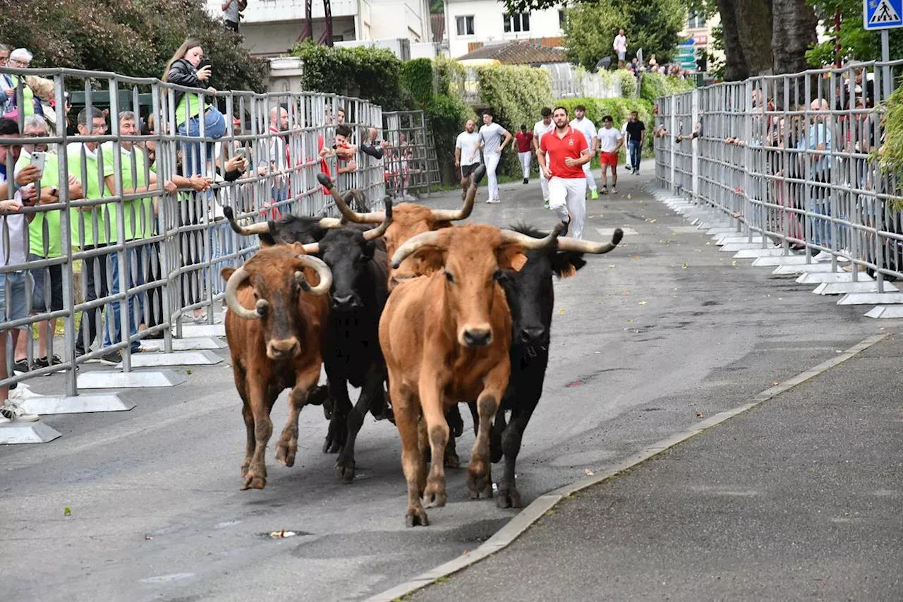 En images. Revivez les temps forts des fêtes d’Aire-sur-l’Adour 2024