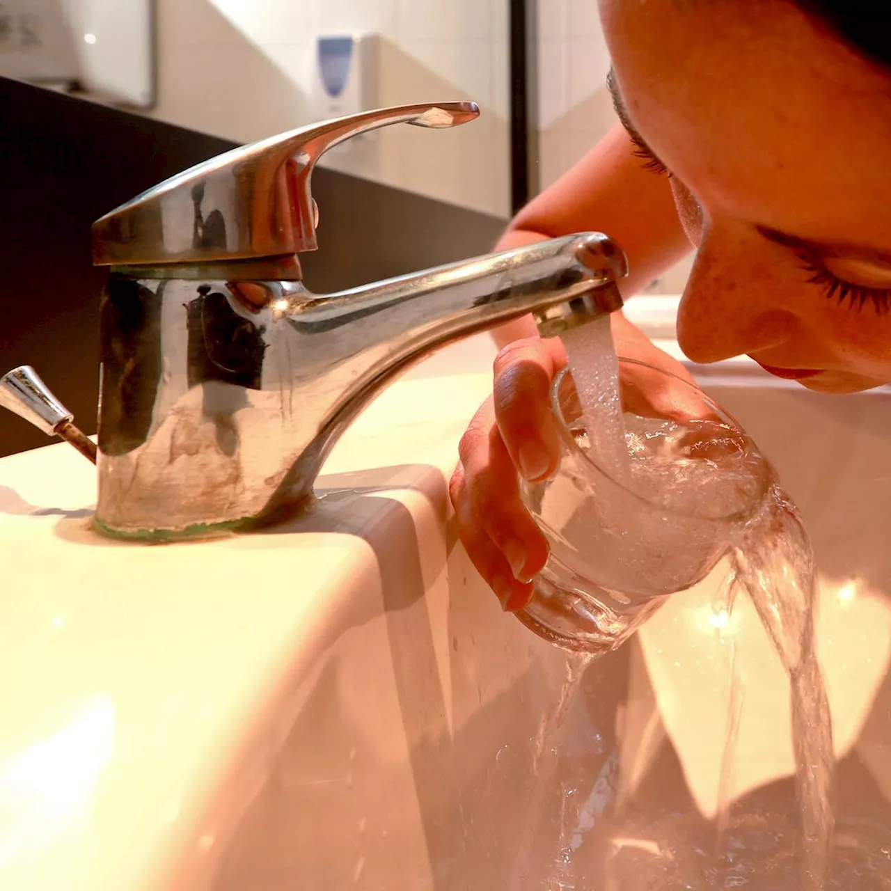 La Rochelle Agglo : sept captages d’eau potable rouvrent malgré la pollution agricole