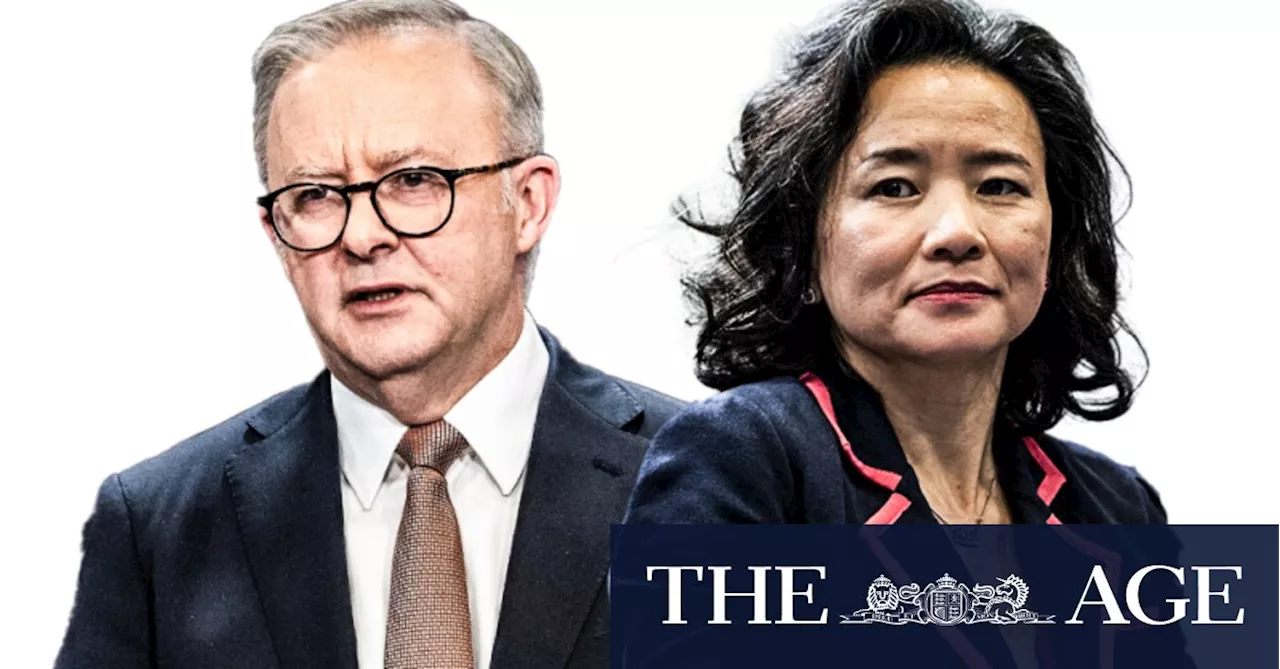 ‘Ham-fisted, clumsy’: Albanese breaks silence on Chinese officials blocking Cheng Lei