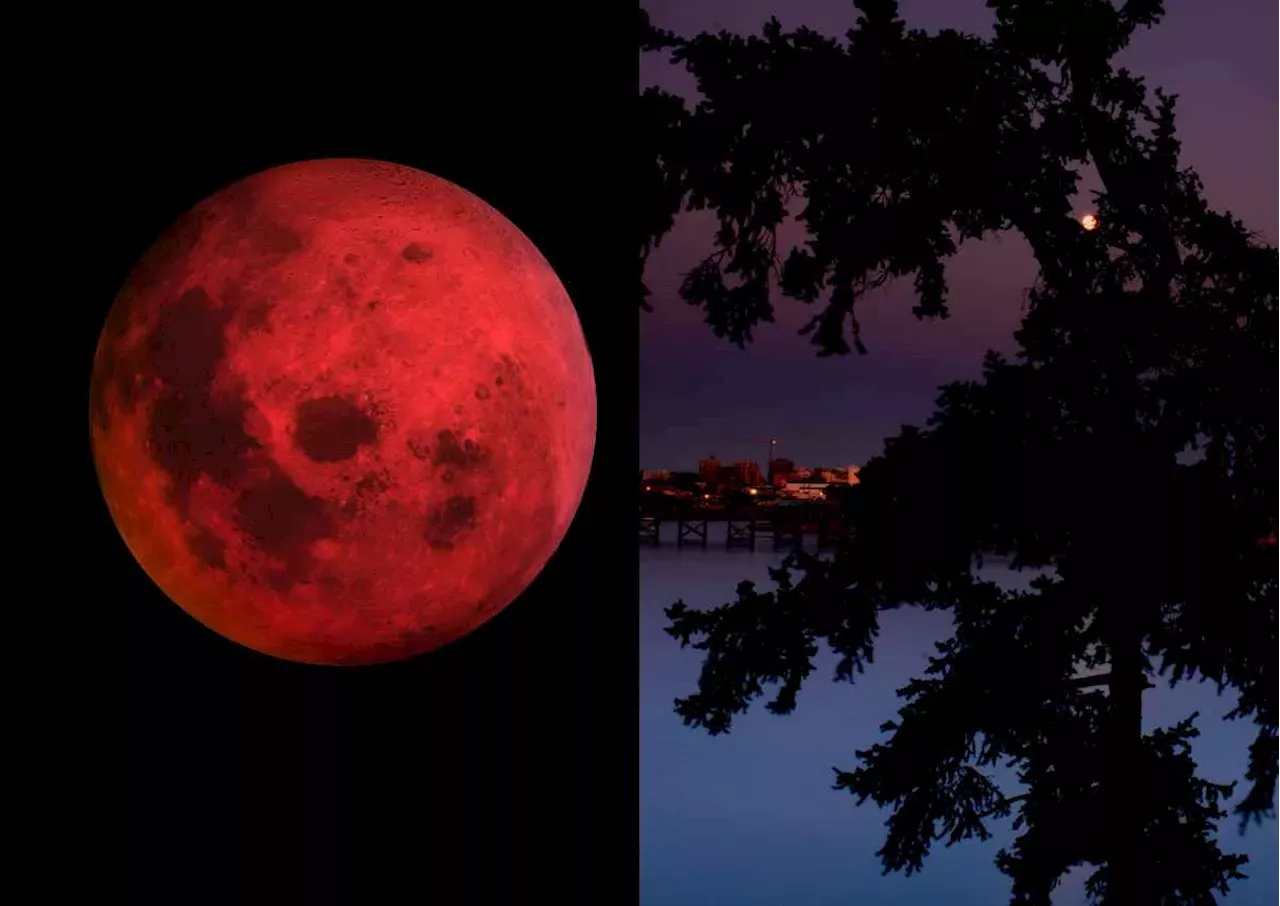 Rare FULL MOON EVENT for JUNE, 2024 All the details here South