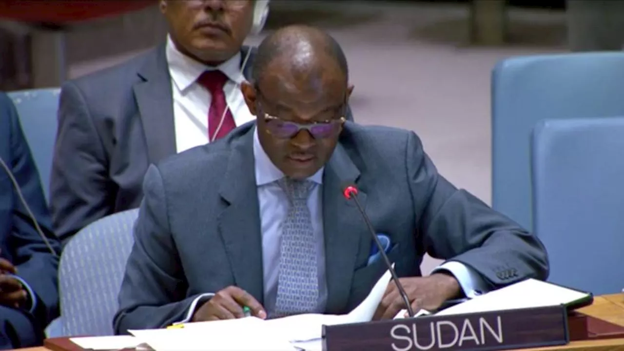 Sudan and UAE engage in war of words at UNSC over RSF support