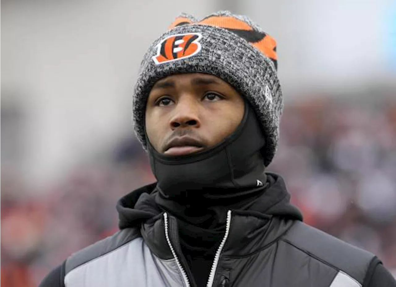 Tee Higgins firma finalmente su etiqueta de jugador de franquicia, pero, ¿se quedará en los Bengals?