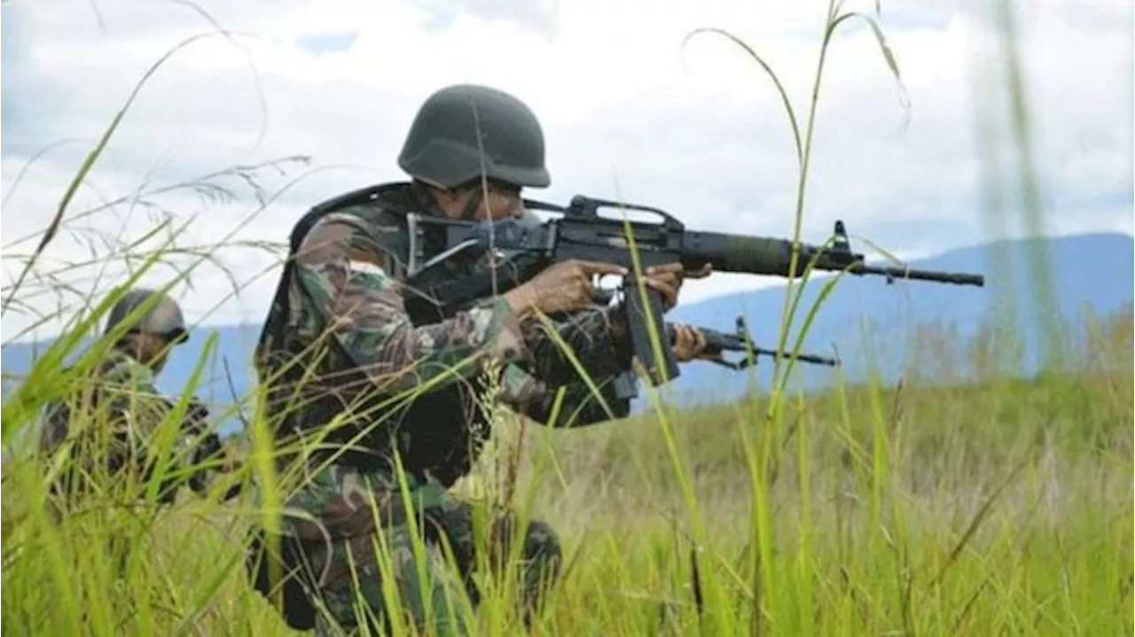 Tembak Mati Desertir TNI Danis Murib yang Gabung OPM, Ini Profil Koops Habema TNI