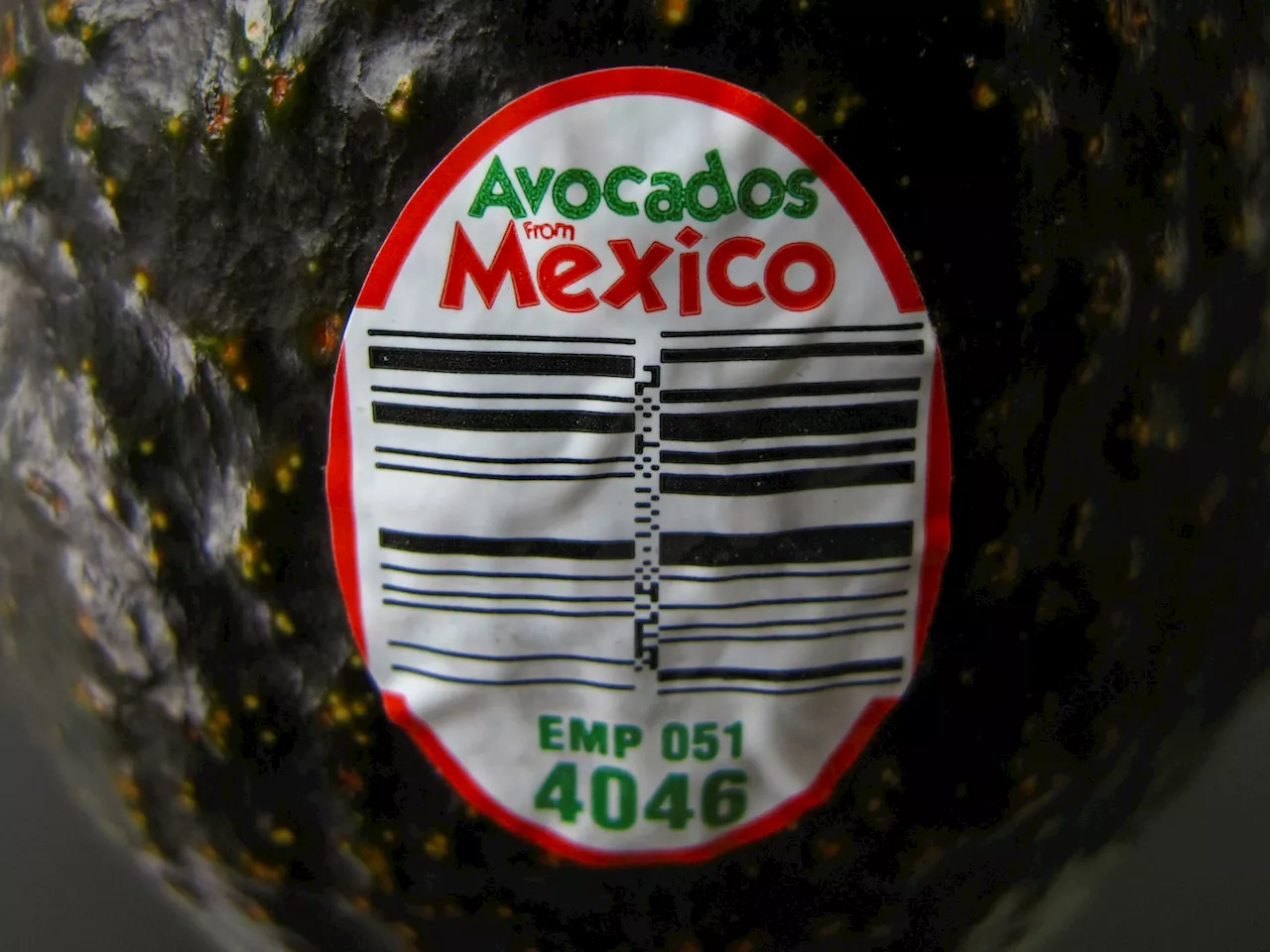 USDA suspends avocado inspections in Mexican state over security fears