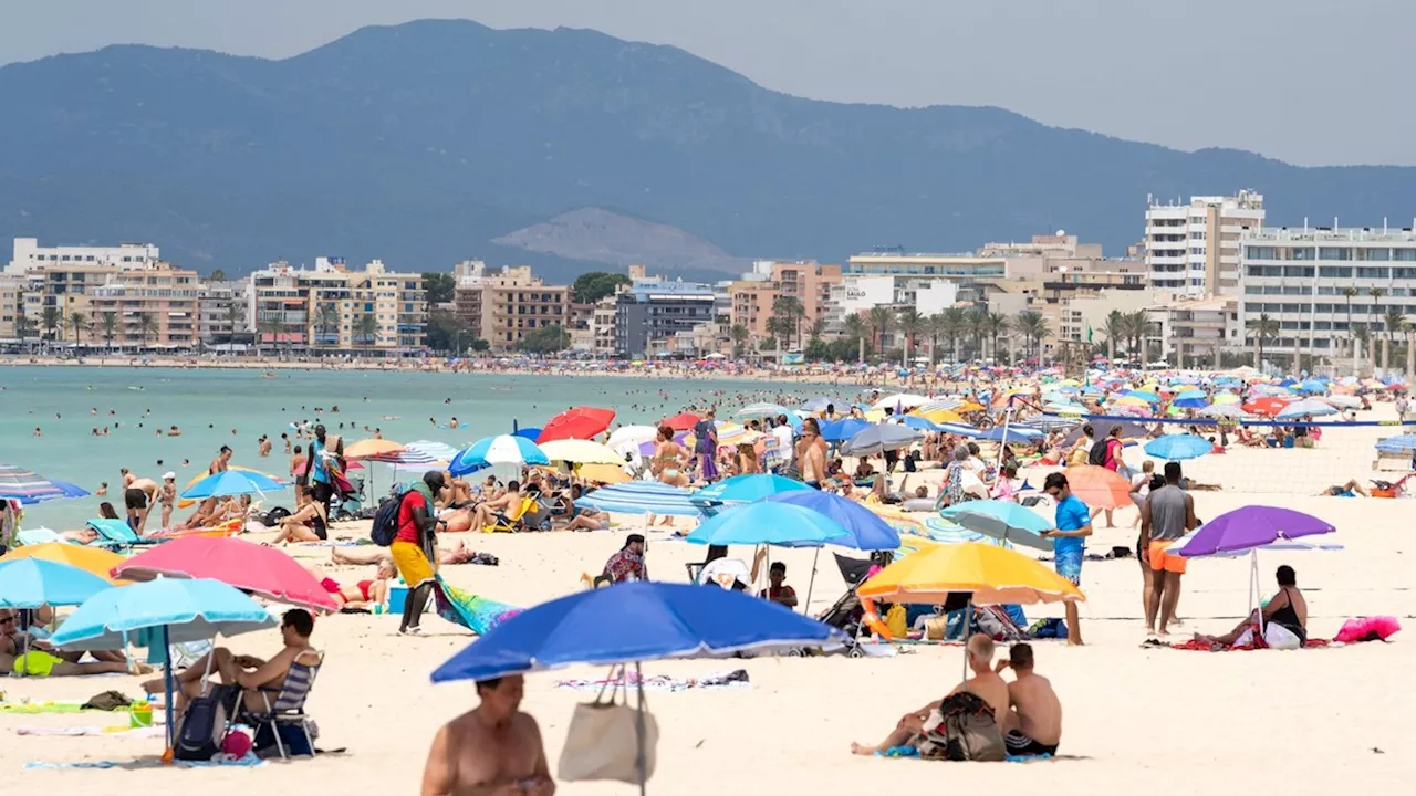 Urlaub: Fahrverbote auf Mallorca – diese Autos dürfen nicht mehr nach Palma