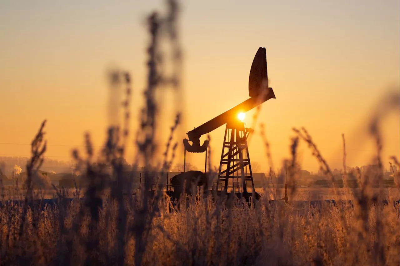 Oil Holds Gain as Risk-On Sentiment Helps to Support Commodities