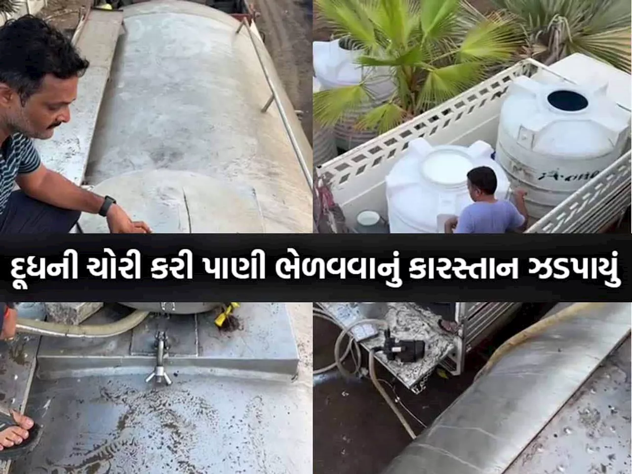 હદ છે યાર! દૂધમાં ભેળસેળ કરવા બનાવી દીધો આખેઆખો પ્લાન્ટ! જેતપુરની ઘટનાથી સૌ કોઈ સ્તબ્ધ