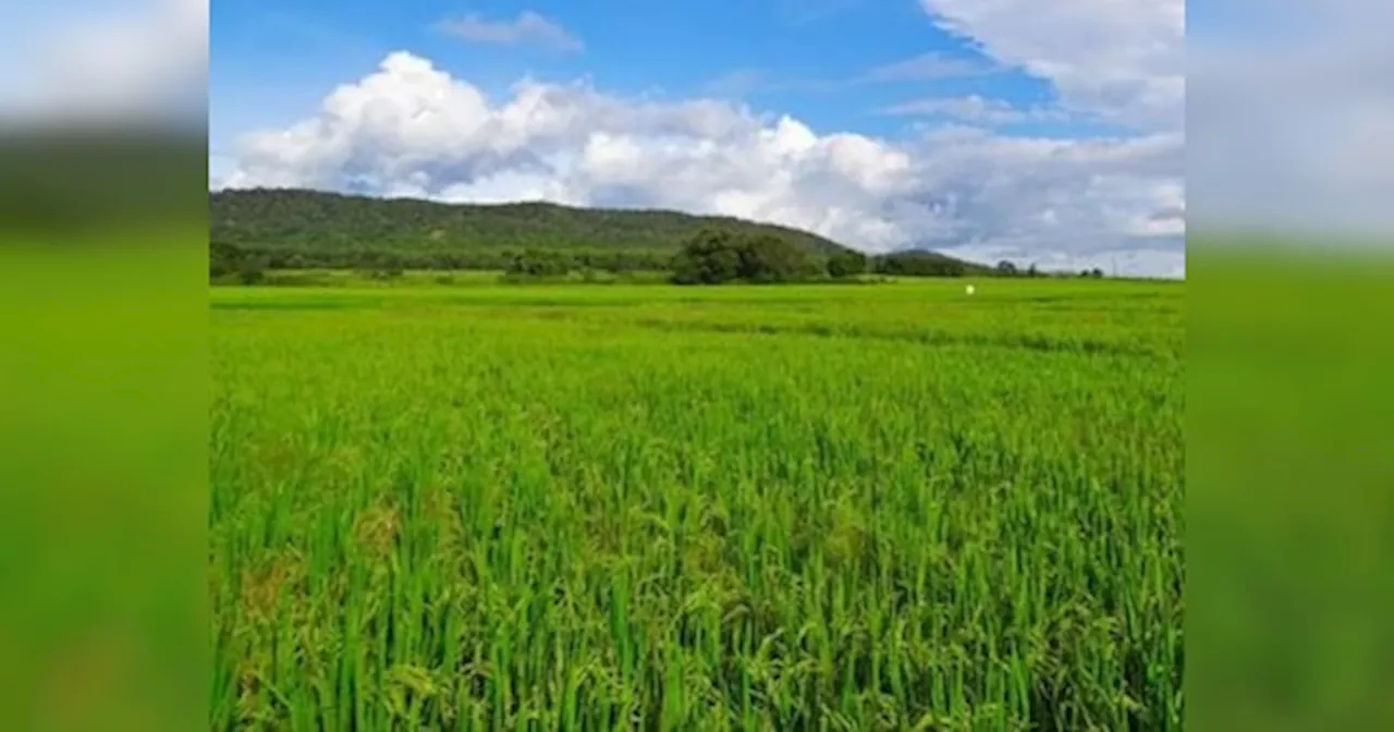 IT नौकरी का मोटा पैकेज छोड़ किसान बना शख्स, आज लाखो में कर रहा इनकम