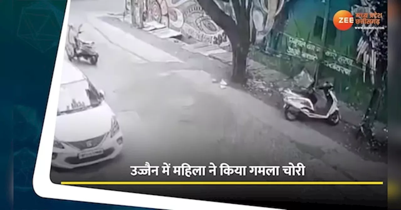 Ujjain Video: उज्जैन में गमला चोरी की वारदात, कैमरे में कैद हुई महिला