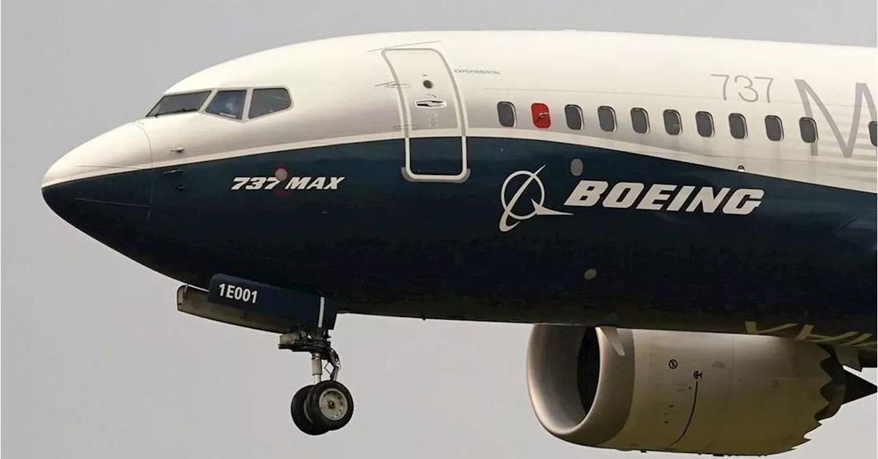 Pilots warned smoke could penetrate cabin if Boeing 737 Max planes have a bird strike